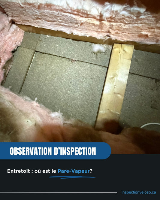 Absence de pare-vapeur dans l’entretoit : quand certains indices révèlent un problème d’humidité