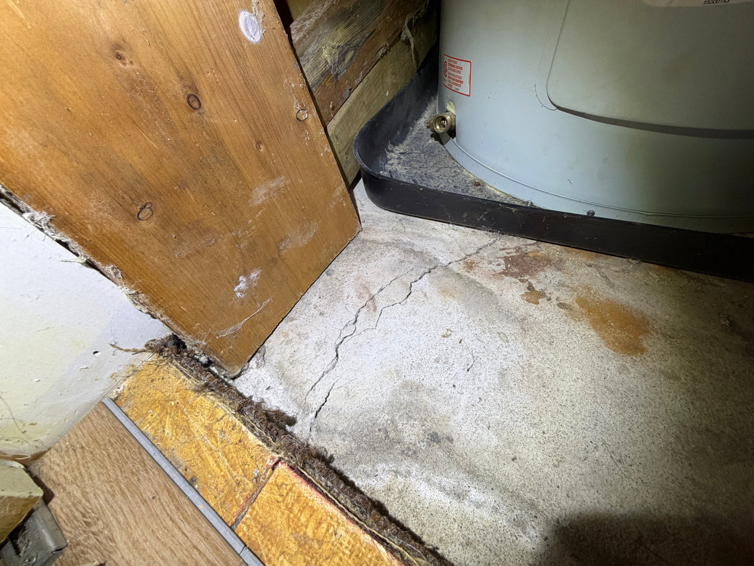 Fissure dans une dalle de béton : faut-il s’inquiéter lors de l’achat d’une maison?